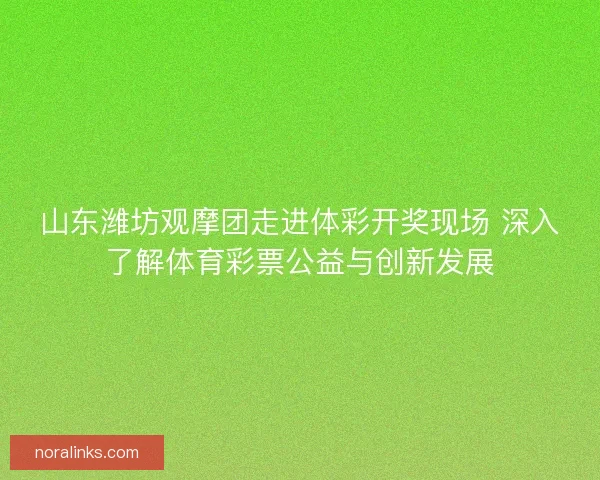 山东潍坊观摩团走进体彩开奖现场 深入了解体育彩票公益与创新发展